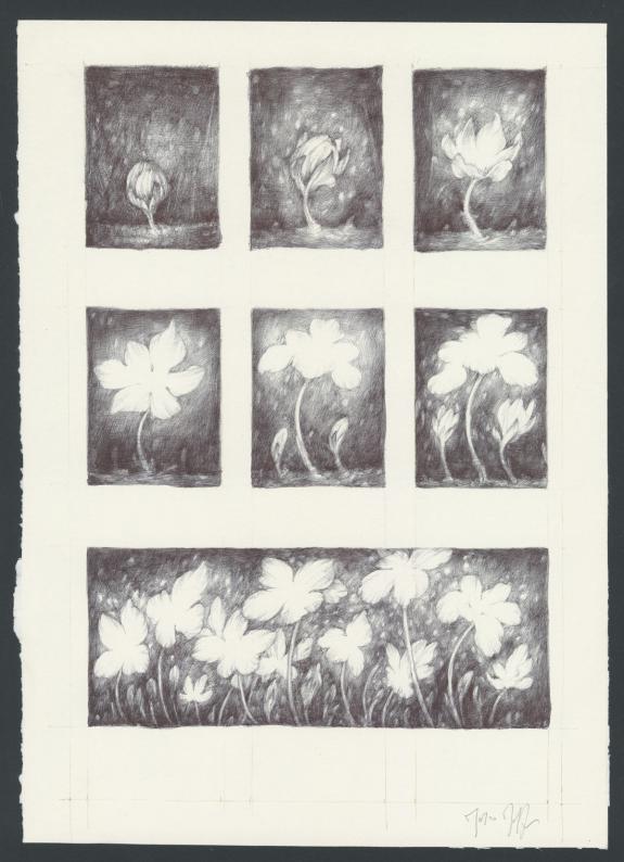 Marco Mazzoni - Illustration originale