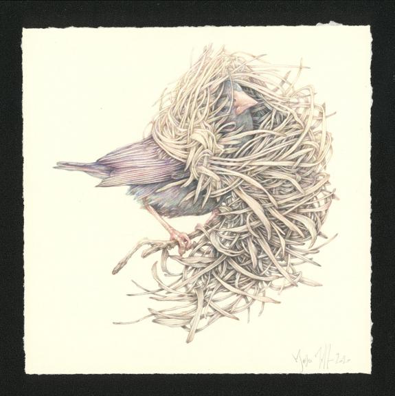 Marco Mazzoni - Journaux troubl&eacute;s, Illustration originale