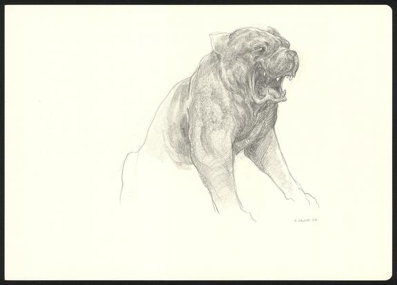 Armel Gaulme - Les Carnets Lovecraft, Le Molosse, Illustrati