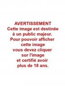 Marc Michetz - Kogaratsu, Illustration originale