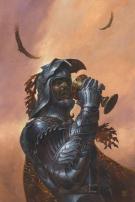 Didier Graffet - Les Royaumes d'&eacute;pines et d'os, Couverture o