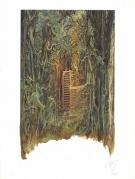 S&eacute;verine Pineaux - Ysambre, Illustration originale