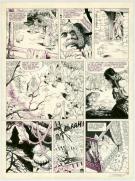 Laurent Vicomte - Balade au bout du monde, Le B&acirc;tard, Planch