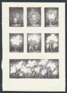 Marco Mazzoni - Illustration originale