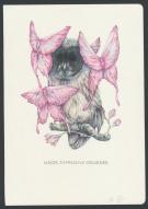 Marco Mazzoni - Illustration originale