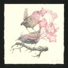 Marco Mazzoni - Journaux troubl&eacute;s, Illustration originale