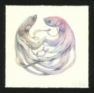 Marco Mazzoni - Journaux troubl&eacute;s, Illustration originale