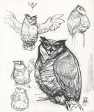 Peter de S&egrave;ve - Illustration originale 