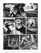 Steve Cuzor - Le Combat d'Henry Fleming, Planche originale n